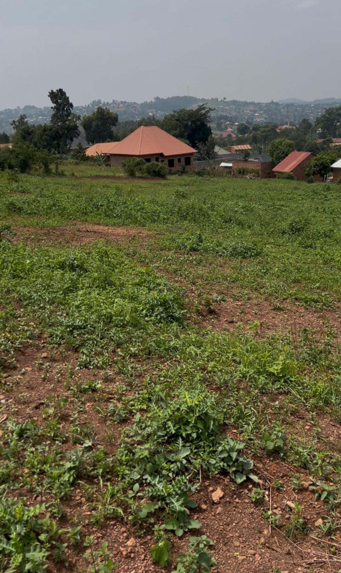 Bukalango — Hoima Road