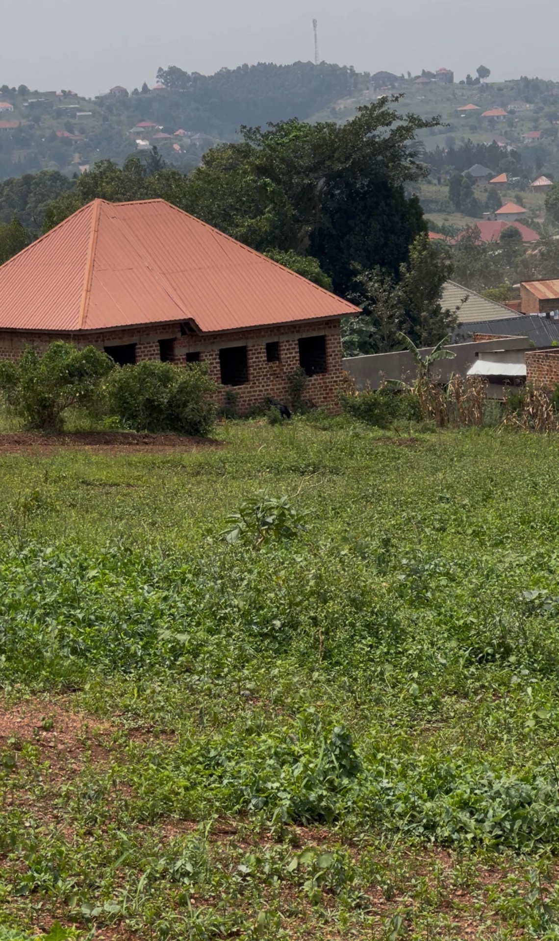 Kakiri Town — Hoima Road