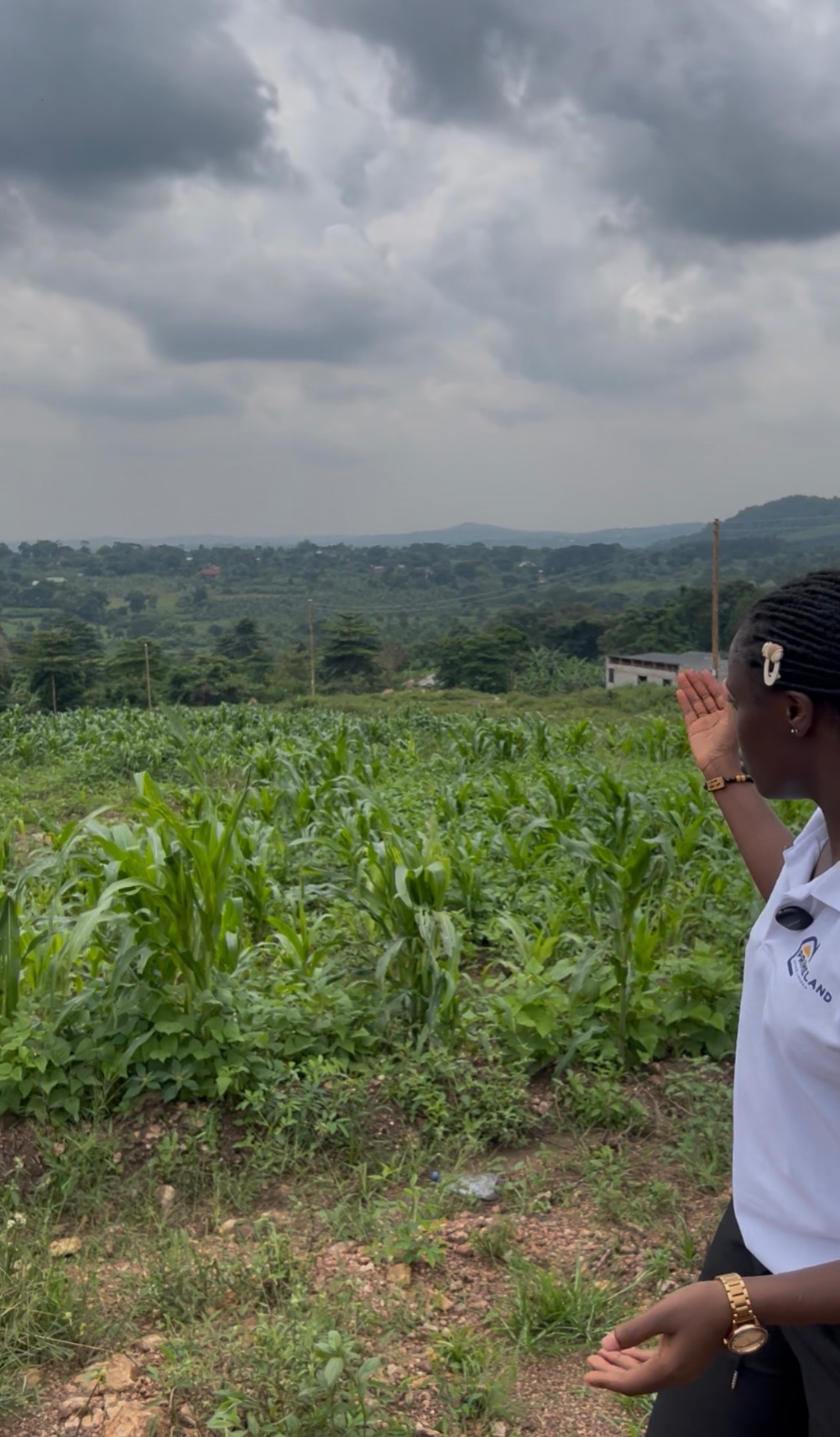 Wakiso Gobero — Hoima Road