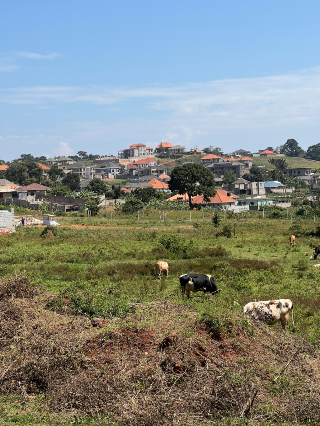 Entebbe Road